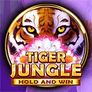 Tổng quan về các luật đặt cược đá gà tại 55win