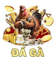 Hỗ trợ khách hàng và FAQ về đá gà 55win